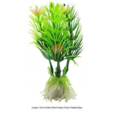 Ceratophylum Submersum Mini